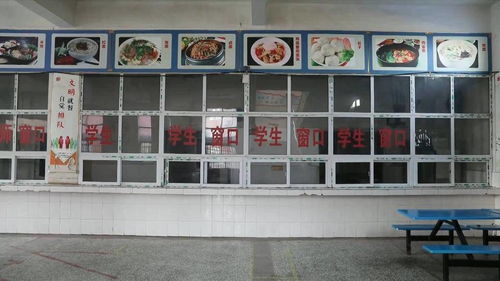 河南 学生呕吐腹泻 事件调查 事发后第二天,涉事配餐公司才取得食品经营许可证